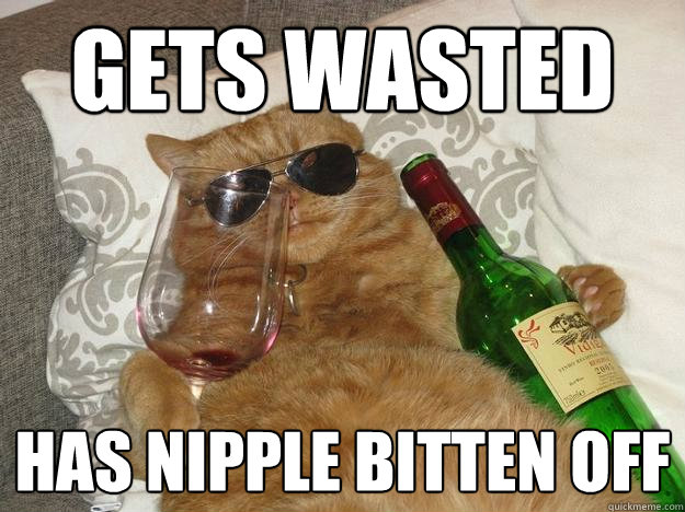 Gets wasted has nipple bitten off - Gets wasted has nipple bitten off  Party Cat