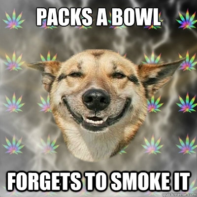 Packs a bowl Forgets to smoke it  Stoner Dog