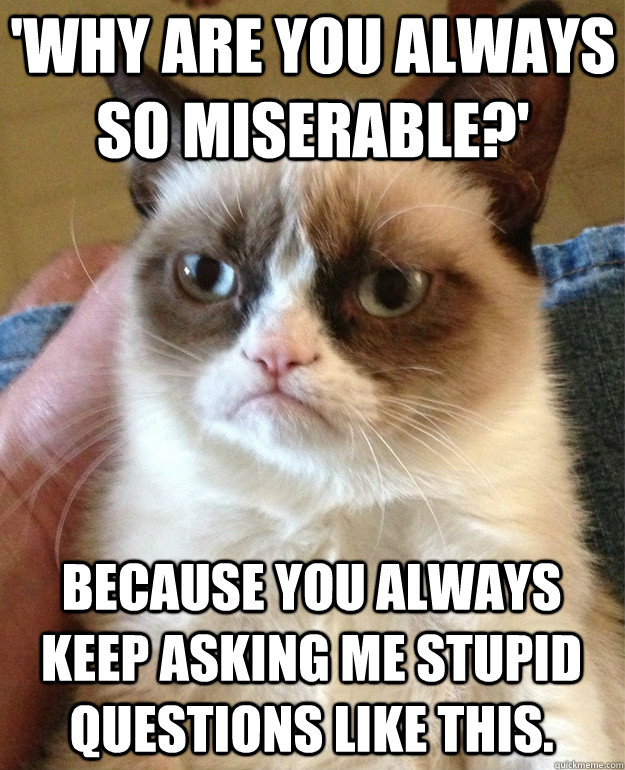 'Why are you always so miserable?' Because you always keep asking me stupid questions like this. - 'Why are you always so miserable?' Because you always keep asking me stupid questions like this.  Grumpy Cat