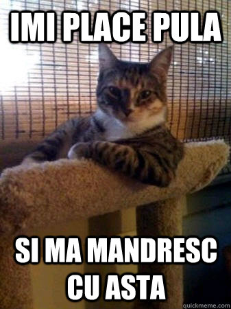 imi place pula si ma mandresc cu asta  The Most Interesting Cat in the World