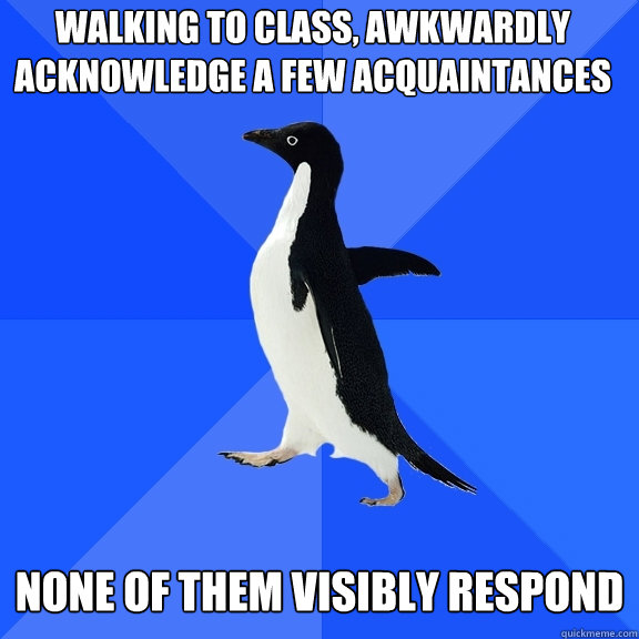 walking to class, awkwardly acknowledge a few acquaintances  none of them visibly respond   Socially Awkward Penguin