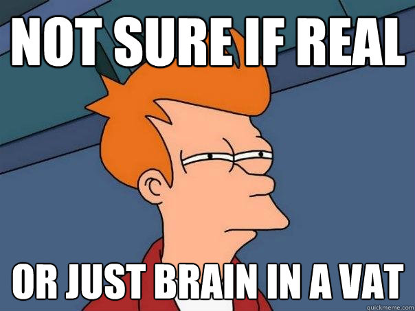not sure if real  or just brain in a vat - not sure if real  or just brain in a vat  Futurama Fry
