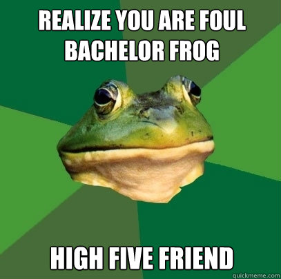 realize you are foul bachelor frog  high five friend  Foul Bachelor Frog