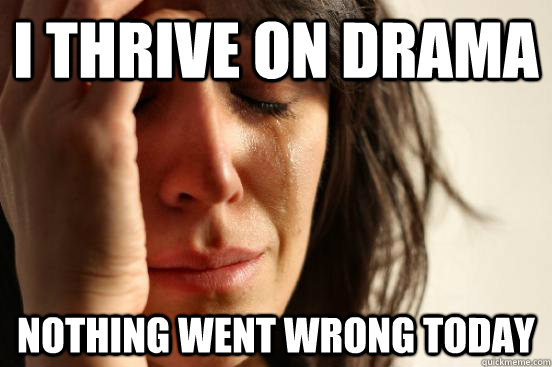 I thrive on drama Nothing went wrong today  First World Problems