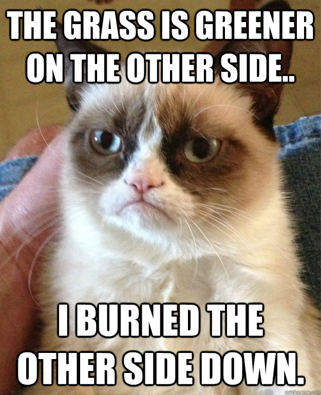The grass is greener on the other side.. I burned the other side down.  Grumpy Cat
