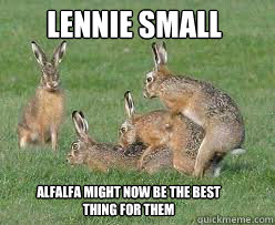 lennie small alfalfa might now be the best thing for them  Of Mice and Men