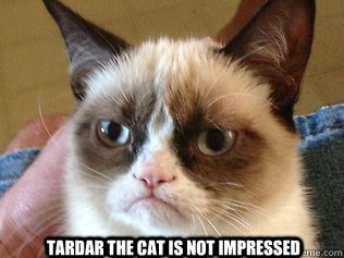 Tardar the Cat Is Not Impressed  