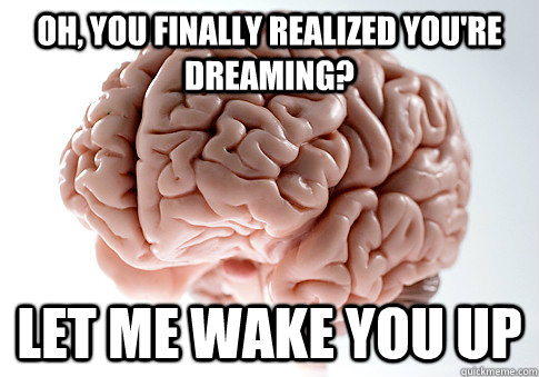 Oh, You finally realized you're dreaming? Let me wake you up  Scumbag Brain