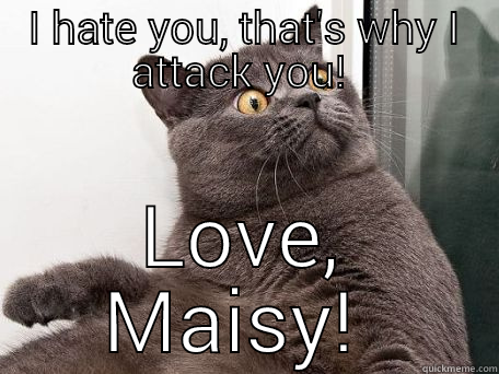 Bitch, didn't I tell you don't touch me! - I HATE YOU, THAT'S WHY I ATTACK YOU!  LOVE, MAISY!  conspiracy cat