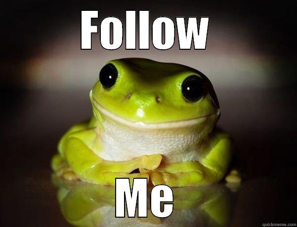 FOLLOW ME Fascinated Frog