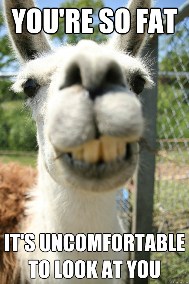 you're so fat it's uncomfortable to look at you - you're so fat it's uncomfortable to look at you  Lame Insult Llama