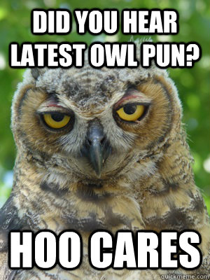 did you hear latest owl pun? hoo cares - did you hear latest owl pun? hoo cares  Stoner Owl