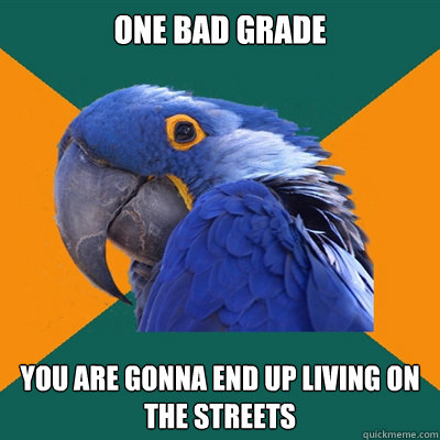 one bad grade you are gonna end up living on the streets  Paranoid Parrot