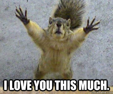  I love you this much. -  I love you this much.  Desperate Squirrel