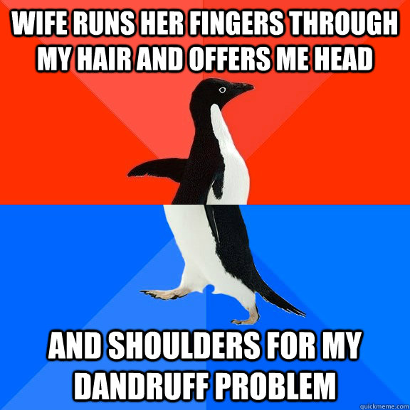 wife runs her fingers through my hair and offers me head and shoulders for my dandruff problem  Socially Awesome Awkward Penguin