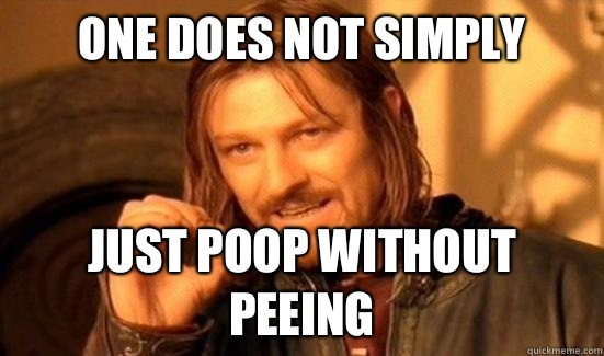 One Does Not Simply Just poop without peeing  Boromir
