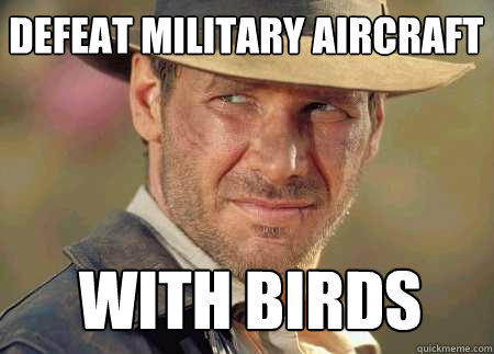 defeat military aircraft with birds  Indiana Jones Life Lessons