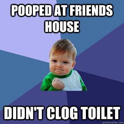 pooped at friends house didn't clog toilet  Success Kid