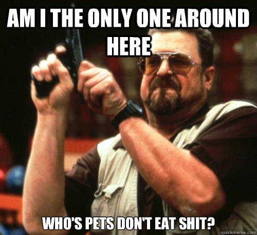 Am i the only one around here who's pets don't eat shit?  Am I The Only One Around Here