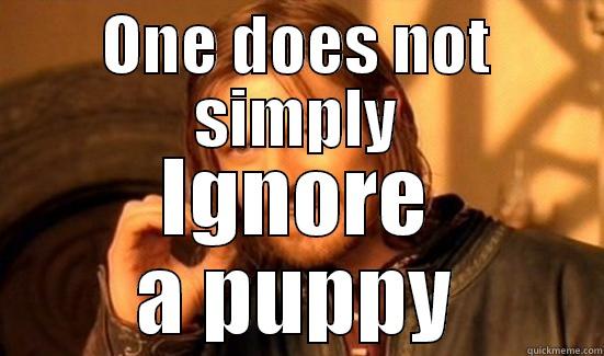 ONE DOES NOT SIMPLY IGNORE A PUPPY Boromir