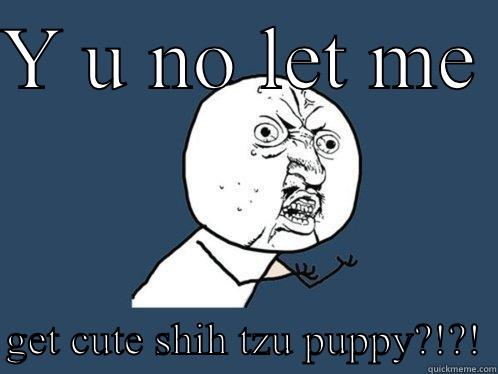 Y U NO LET ME   GET CUTE SHIH TZU PUPPY?!?! Y U No