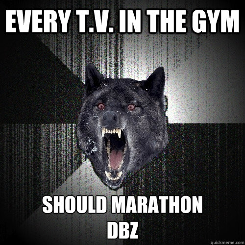 EVERY T.V. IN THE GYM SHOULD MARATHON
DBZ  Insanity Wolf