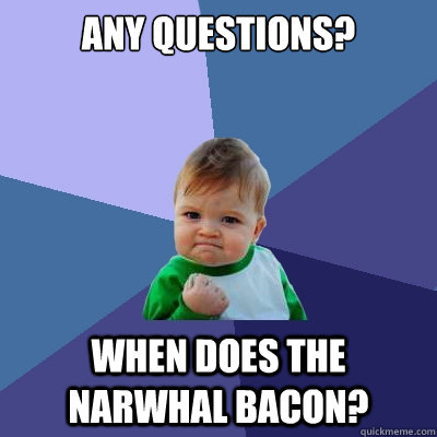Any Questions? When does the narwhal bacon?  Success Kid