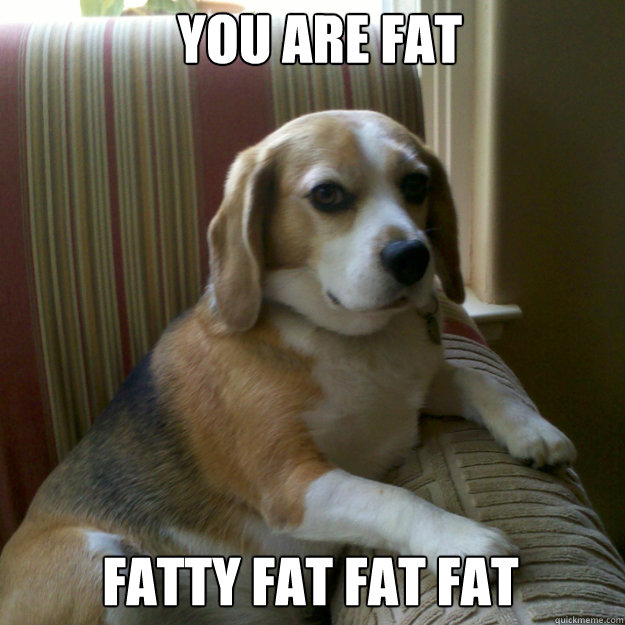 You are Fat Fatty fat fat fat  judgmental dog