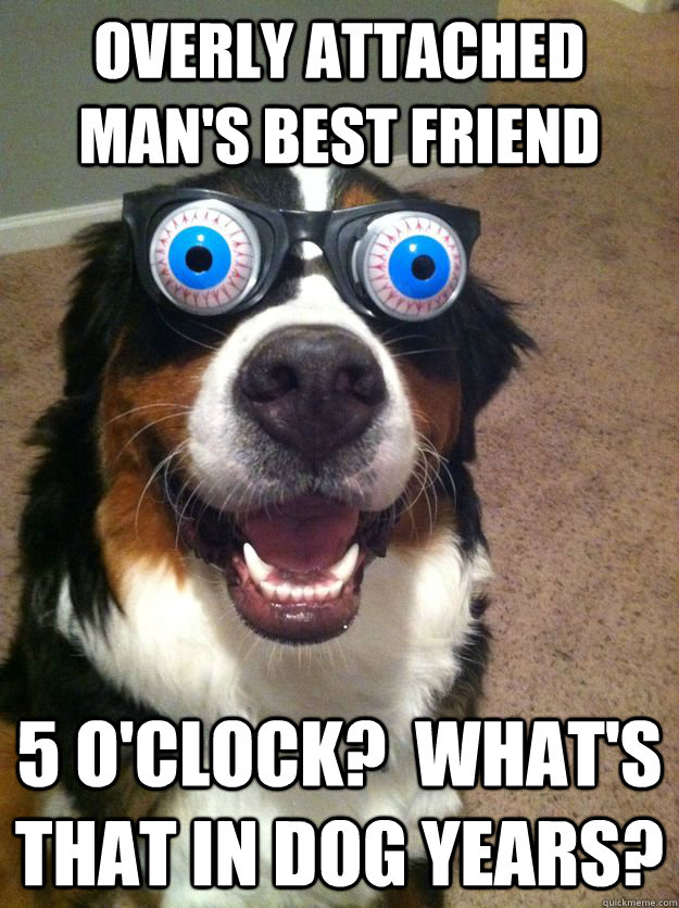 overly attached man's best friend 5 o'clock?  what's that in dog years? - overly attached man's best friend 5 o'clock?  what's that in dog years?  Misc