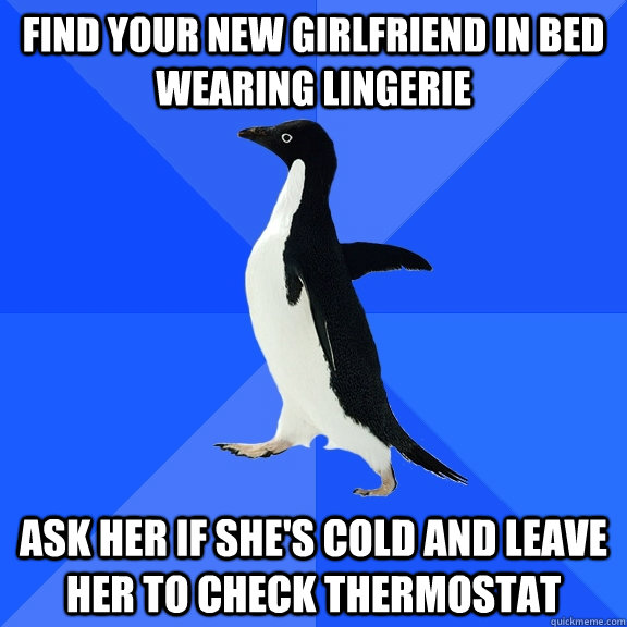 Find your new girlfriend in bed wearing lingerie Ask her if she's cold and leave her to check thermostat  Socially Awkward Penguin