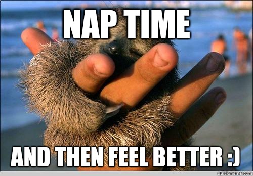 NAP TIME And then feel better :)  cute baby sloth