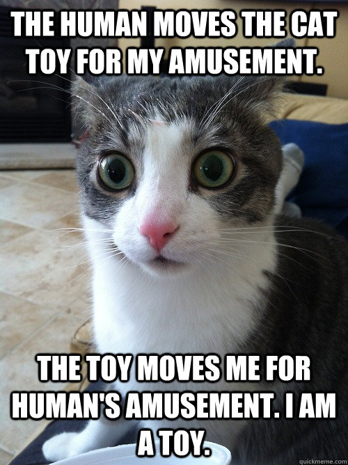 the human moves the cat toy for my amusement.  The toy moves me for human's amusement. I am a toy.  - the human moves the cat toy for my amusement.  The toy moves me for human's amusement. I am a toy.   Sudden Clarity Cat