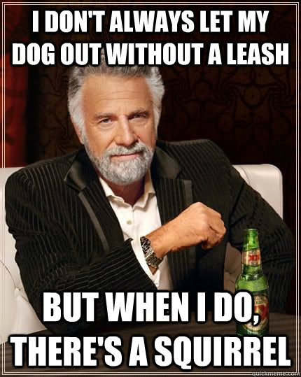I don't always let my dog out without a leash but when i do, there's a squirrel   The Most Interesting Man In The World