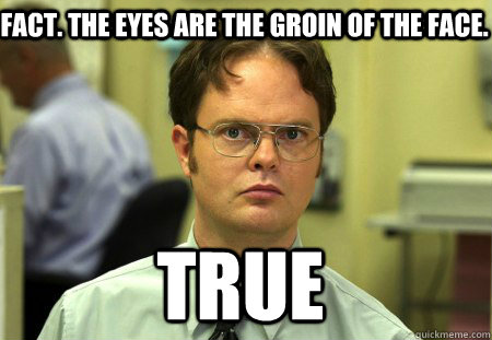 fact. The eyes are the groin of the face.  true   Schrute