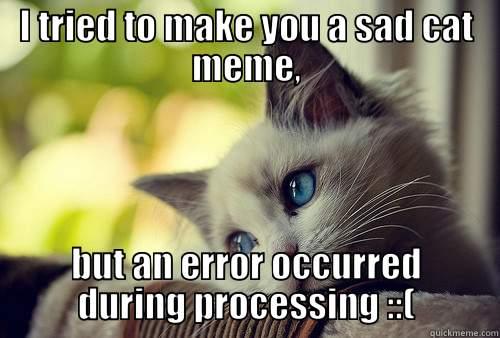 I TRIED TO MAKE YOU A SAD CAT MEME, BUT AN ERROR OCCURRED DURING PROCESSING ::( First World Problems Cat