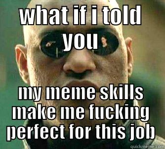 WHAT IF I TOLD YOU MY MEME SKILLS MAKE ME FUCKING PERFECT FOR THIS JOB Matrix Morpheus