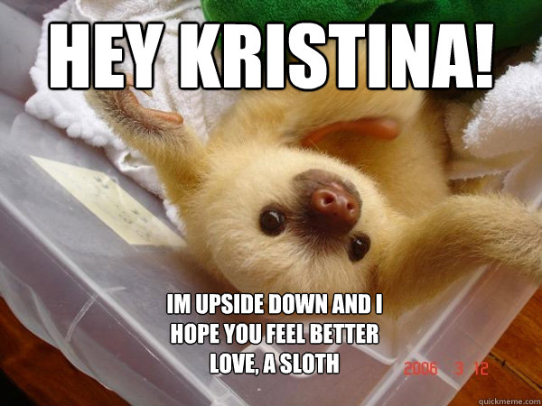 Hey Kristina! im upside down and i 
hope you feel better
love, a sloth  feel better sloth