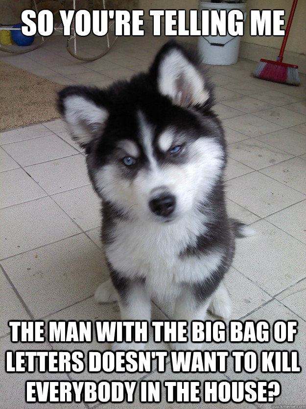 So you're telling me the man with the big bag of letters doesn't want to kill everybody in the house? - So you're telling me the man with the big bag of letters doesn't want to kill everybody in the house?  Skeptical Newborn Puppy