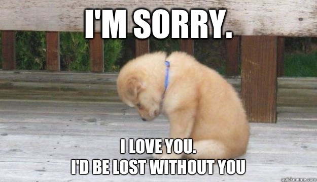 I'm sorry. I love you.
I'd be lost without you  SORRY PUPPY