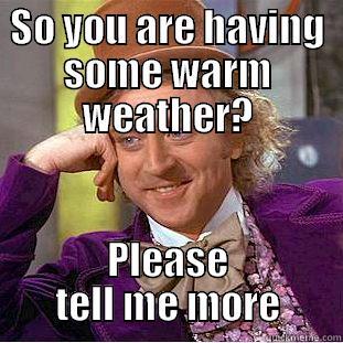 SO YOU ARE HAVING SOME WARM WEATHER? PLEASE TELL ME MORE Condescending Wonka