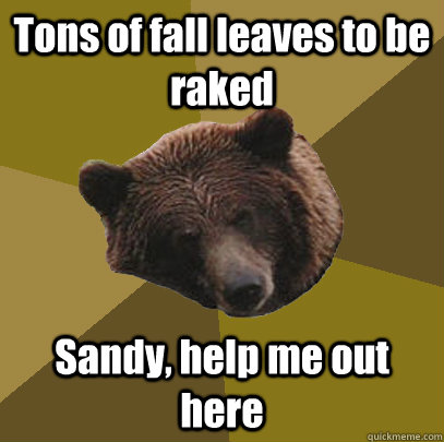 Tons of fall leaves to be raked Sandy, help me out here  Lazy Bachelor Bear