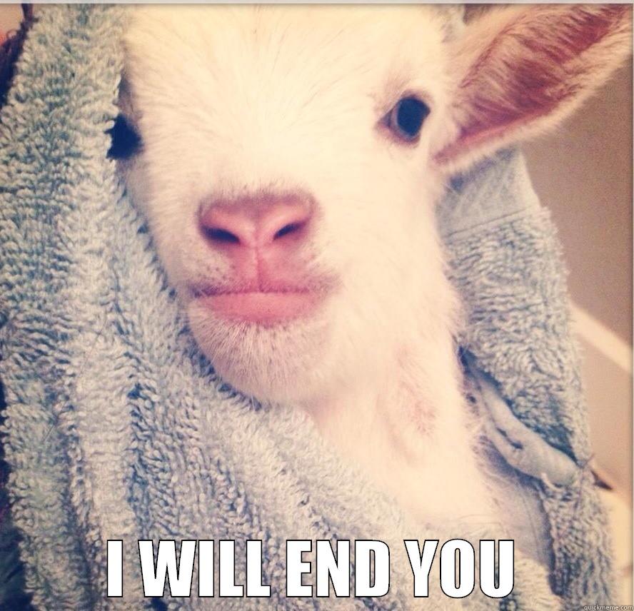  I WILL END YOU Misc