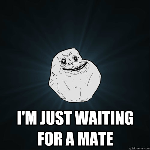  I'm just waiting for a mate  Forever Alone