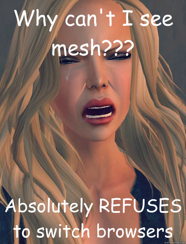 Why can't I see mesh??? Absolutely REFUSES to switch browsers - Why can't I see mesh??? Absolutely REFUSES to switch browsers  secondlifeproblems