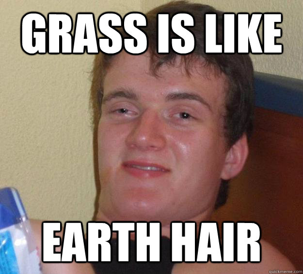 grass is like earth hair  10 Guy