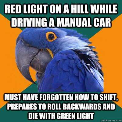 Red light on a hill while driving a manual car Must have forgotten how to shift, Prepares to roll backwards and die with green light  Paranoid Parrot