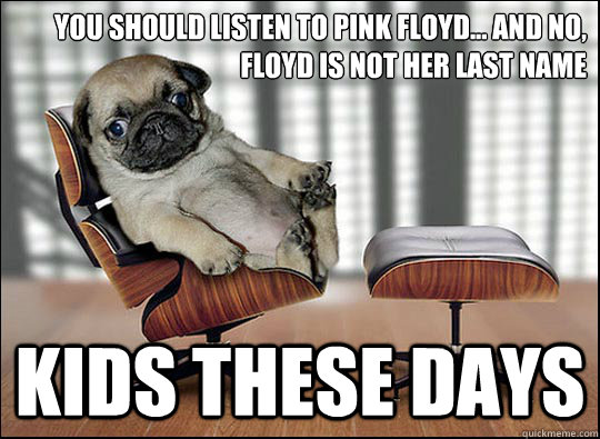 you should listen to pink floyd... and no, floyd is not her last name kids these days  ageing opinionated pug