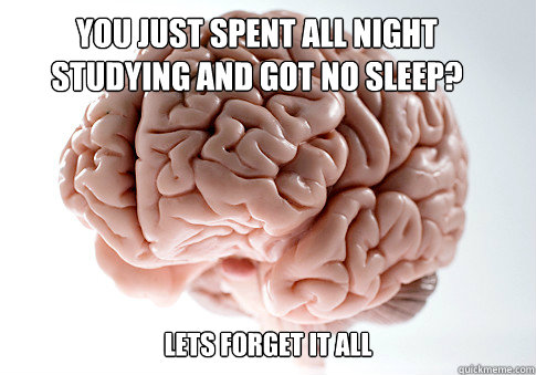 You just spent all night studying and got no sleep? Lets forget it all   Get the [AdviceAnimals Chrome extension!](http://www.livememe.com/extension)  Scumbag Brain