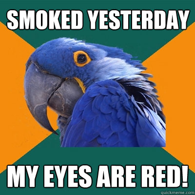 Smoked yesterday My Eyes are red!  Paranoid Parrot
