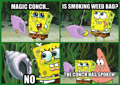 Magic Conch... Is smoking weed bad?  No The conch has spoken! - Magic Conch... Is smoking weed bad?  No The conch has spoken!  Ohh Magic Conch